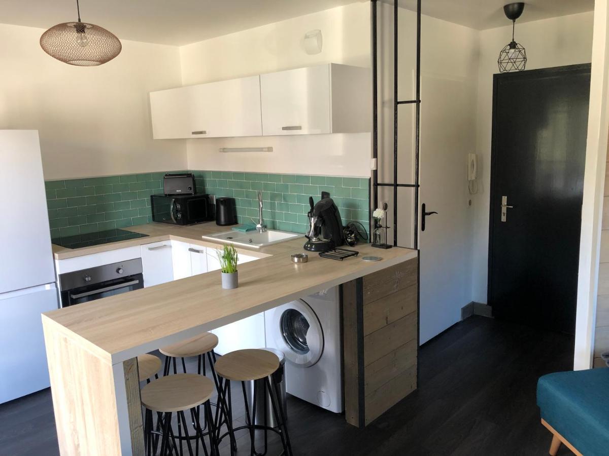 Appartement Cosy Proche De La Gare 圣让德莫里耶讷 外观 照片